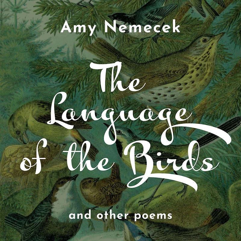 the Language of Birds: Poems