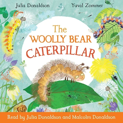 The Woolly Bear Caterpillar