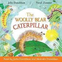 The Woolly Bear Caterpillar