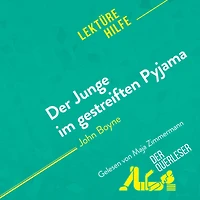 Der Junge im gestreiften Pyjama von John Boyne (Lektürehilfe): Detaillierte Zusammenfassung