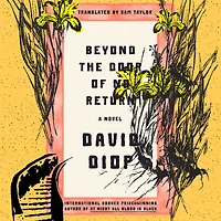 Beyond the Door of No Return: A Novel
