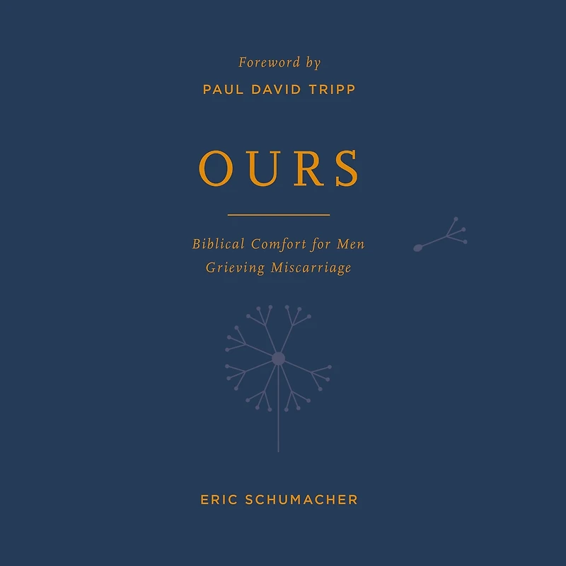 Ours: Biblical Comfort for Men Grieving Miscarriage
