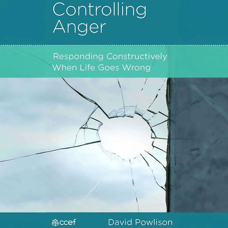 Controlling Anger: Responding Constructively When Life Goes Wrong
