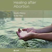 Healing after Abortion: God's Mercy is for You