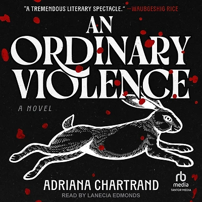 An Ordinary Violence: A Novel