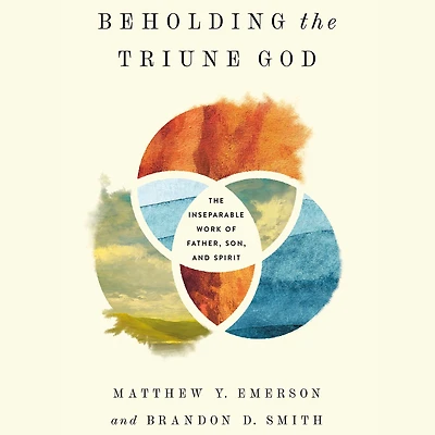Beholding The Triune God: Inseparable Work of Father, Son, and Spirit