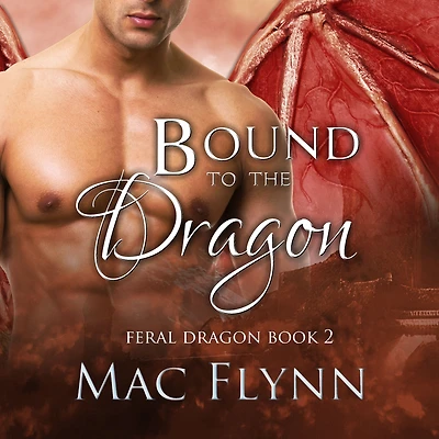 Bound to the Dragon: A Dragon Shifter Romance (Feral Book 2)