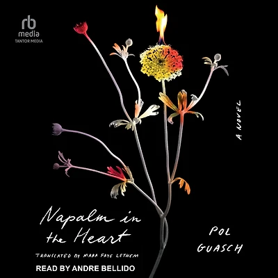 Napalm the Heart: A Novel