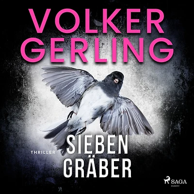Sieben Gräber: Thriller
