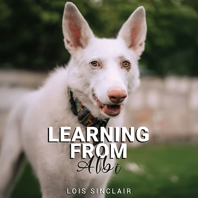 Learning from Albi