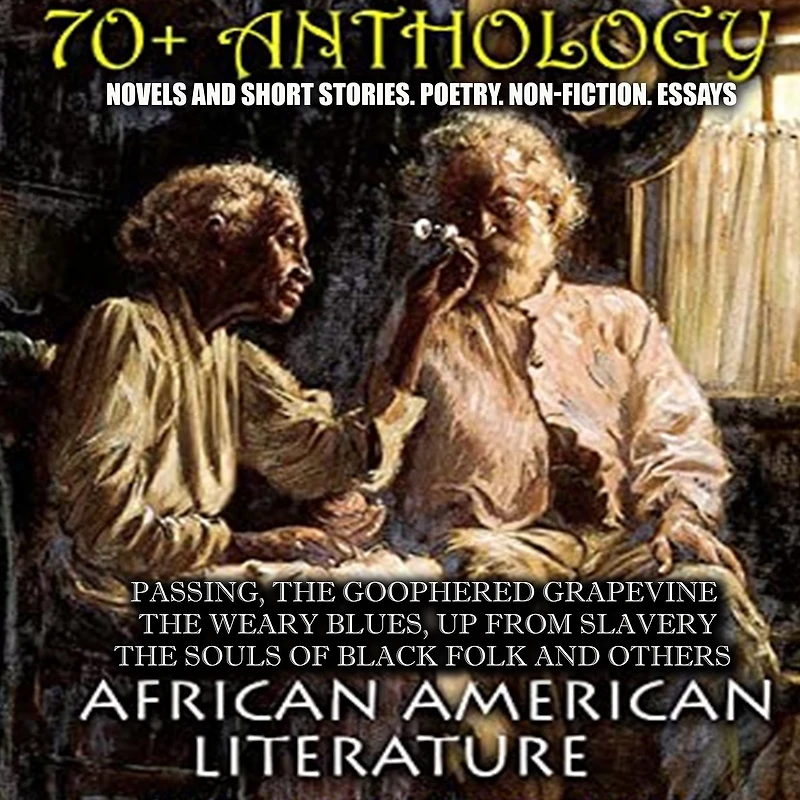 70+ Anthology. African American literature. Novels and short stories. Poetry. Non-fiction. Essays: Passing, The Goophered Grapevine , Weary Blues, Up from Slavery, Souls of Black Folk others
