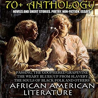 70+ Anthology. African American literature. Novels and short stories. Poetry. Non-fiction. Essays: Passing, The Goophered Grapevine , Weary Blues, Up from Slavery, Souls of Black Folk others