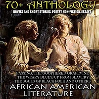 70+ Anthology. African American literature. Novels and short stories. Poetry. Non-fiction. Essays: Passing, The Goophered Grapevine , Weary Blues, Up from Slavery, Souls of Black Folk others