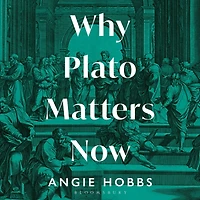 Why Plato Matters Now