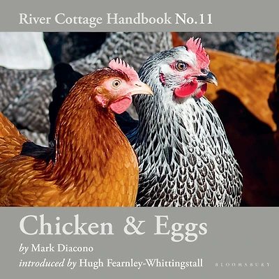 Chicken & Eggs: River Cottage Handbook No.11