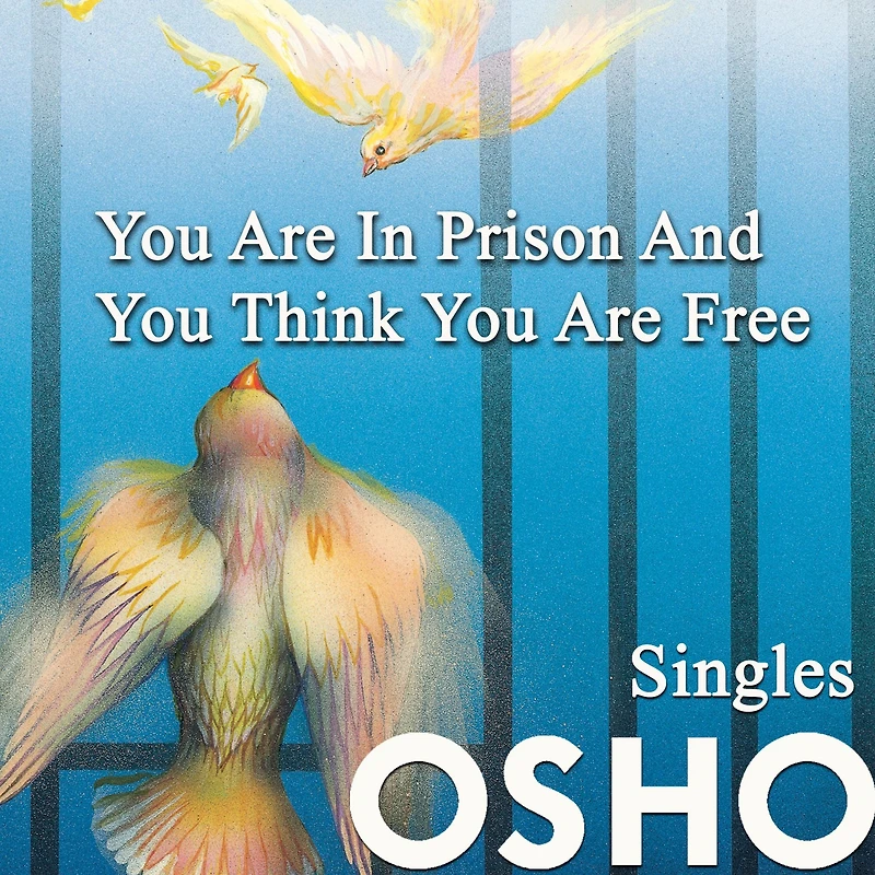 You Are Prison and Think Free
