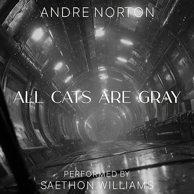 All Cats Are Gray