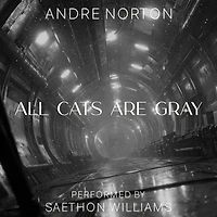 All Cats Are Gray