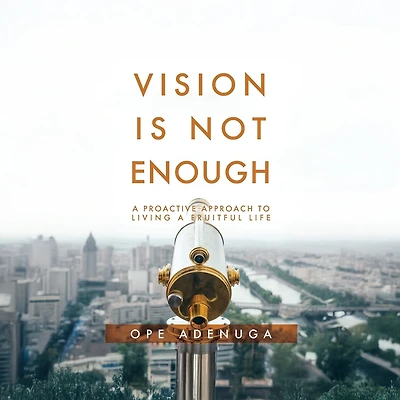 Vision Is Not Enough: a Proactive Approach to Living Fruitful Life