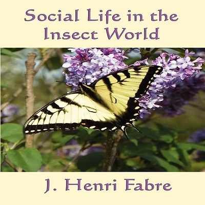 Social Life the Insect World