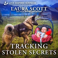 Tracking Stolen Secrets