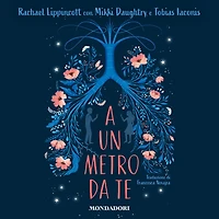 A un metro da te