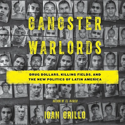 Gangster Warlords: Drug Dollars, Killing Fields, and the New Politics of Latin America