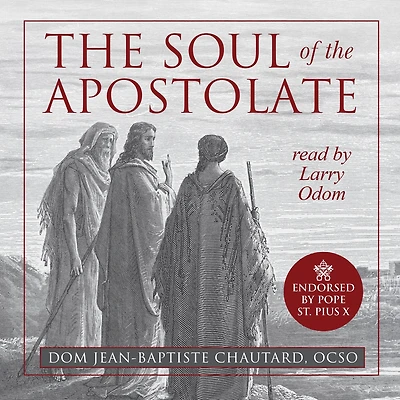 The Soul of Apostolate