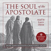 The Soul of Apostolate