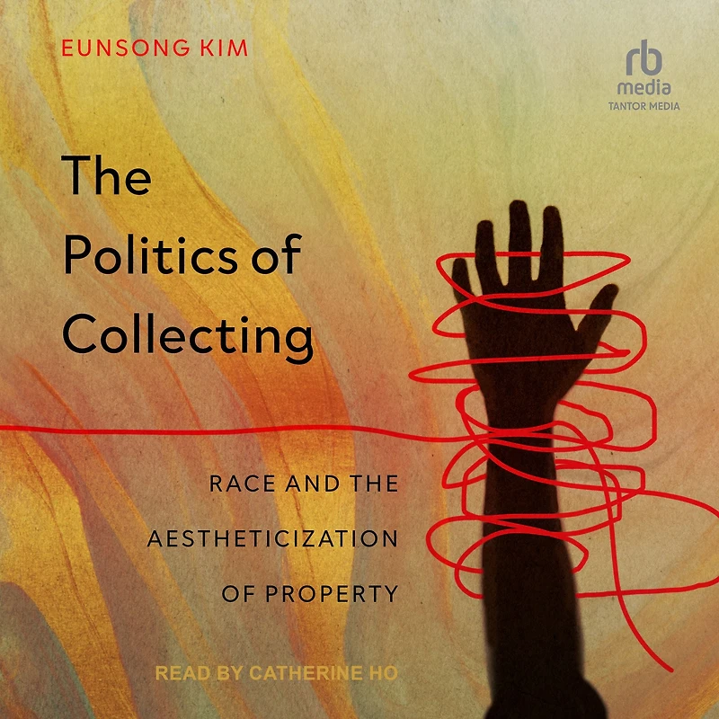 the Politics of Collecting: Race and Aestheticization Property