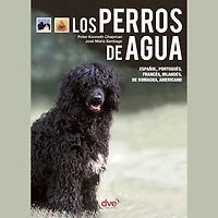 Los perros de agua - El perro Obama