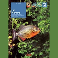 Las pirañas: Anatomía, alimentación, reproducción, enfermedades, cría en acuario