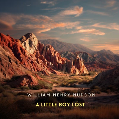 A Little Boy Lost