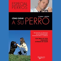 Cómo cuidar a su perro