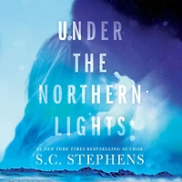 Under the Northern Lights