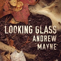 Looking Glass