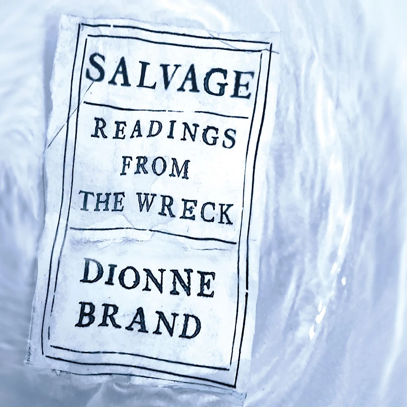 Salvage: Readings from the Wreck
