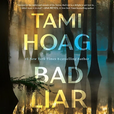 Bad Liar: A Novel
