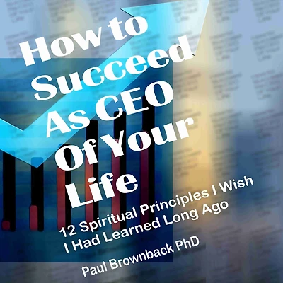 How to Succeed as CEO of Your Life: 12 Spiritual Principles I Wish Had Learned Long Ago