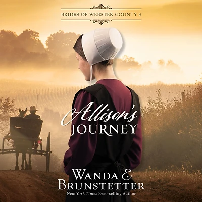 Allison's Journey (Brides of Webster County Series #4)