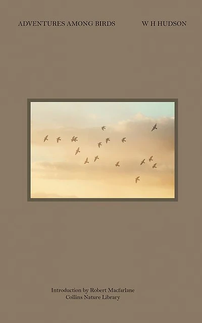 Adventures Among Birds (Barnes & Noble Digital Library)