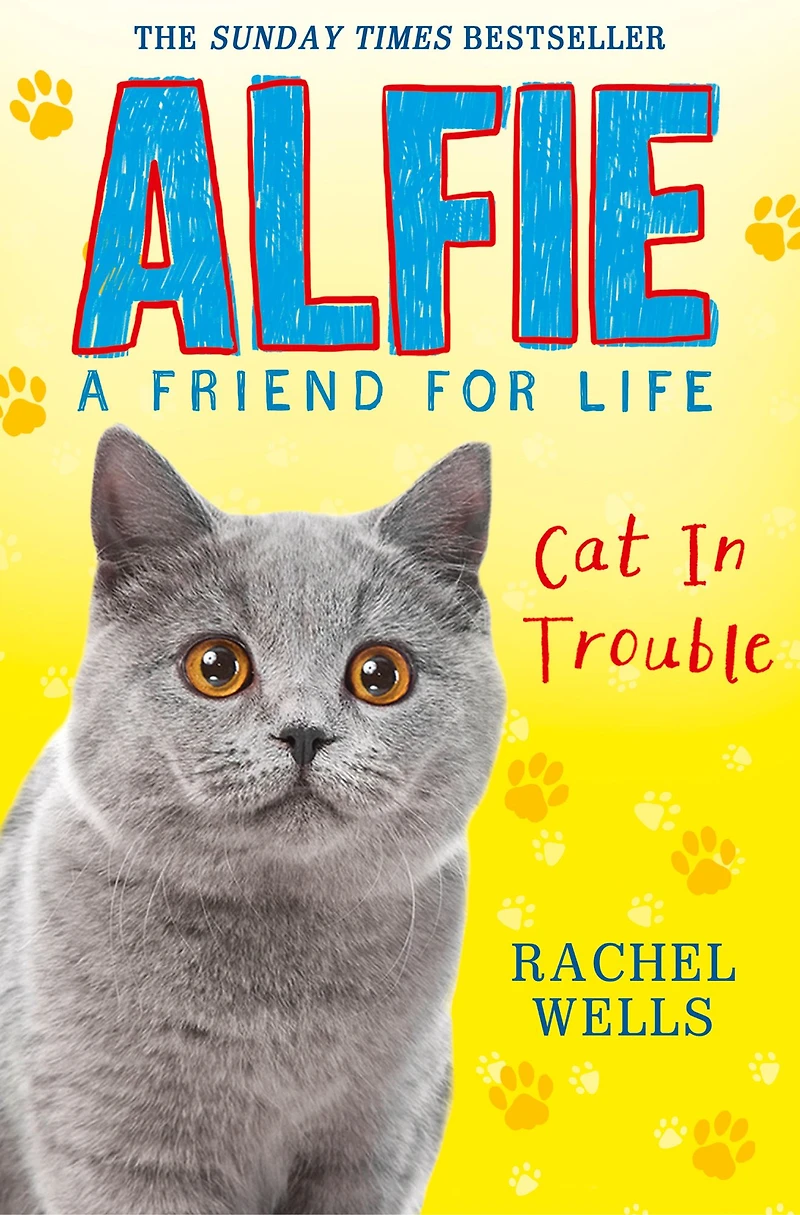 Alfie Cat Trouble