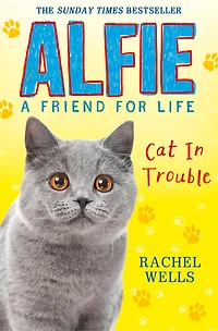 Alfie Cat Trouble