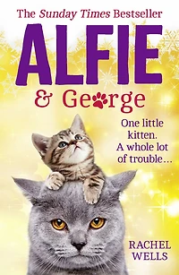 Alfie and George: a heart-warming tale about how one cat his kitten brought street together (Alfie series, Book 3)