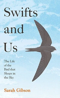 Swifts and Us: the Life of Bird that Sleeps Sky