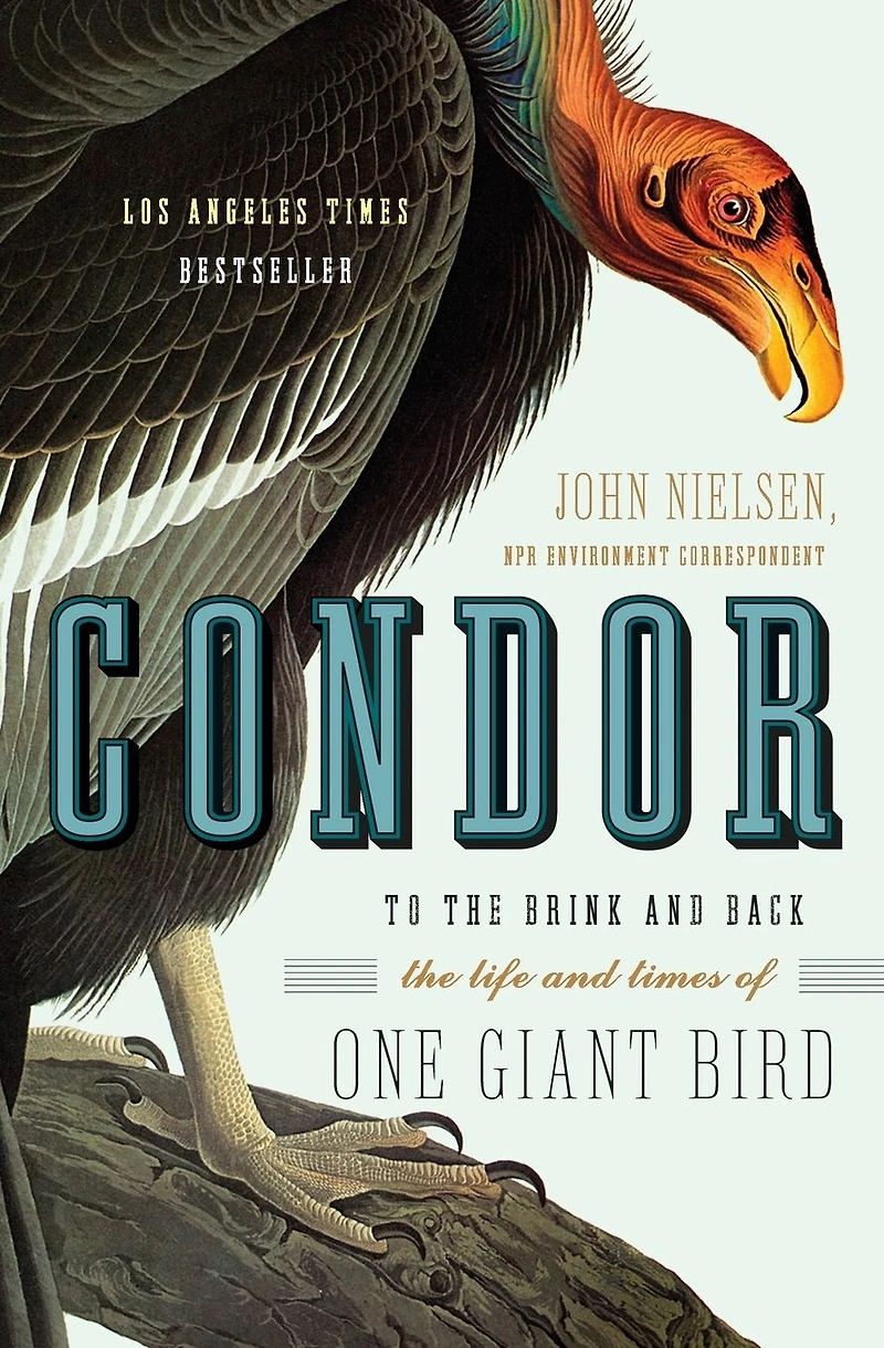 Condor: To the Brink and Back-the Life Times of One Giant Bird