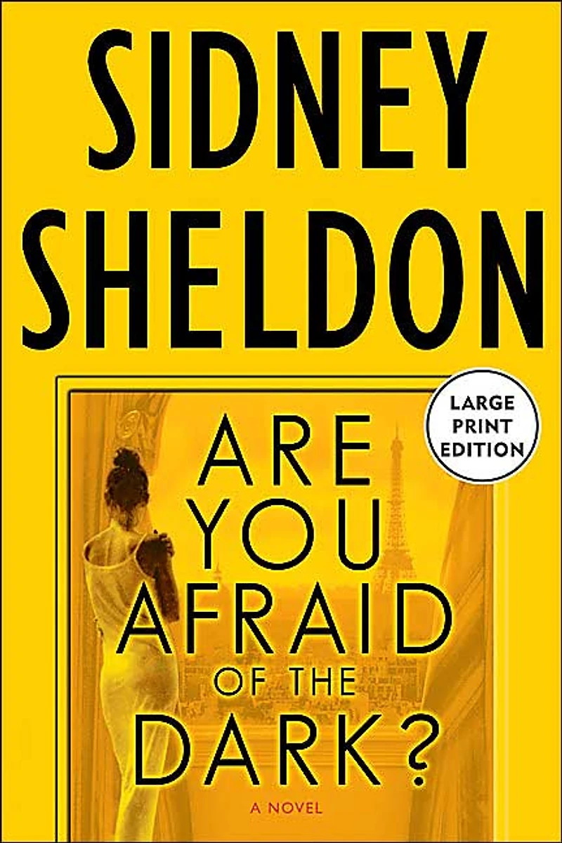 Are You Afraid of the Dark?: A Novel