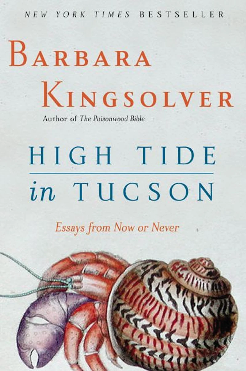 High Tide Tucson: Essays from Now or Never