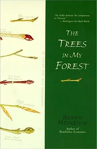 The Trees My Forest