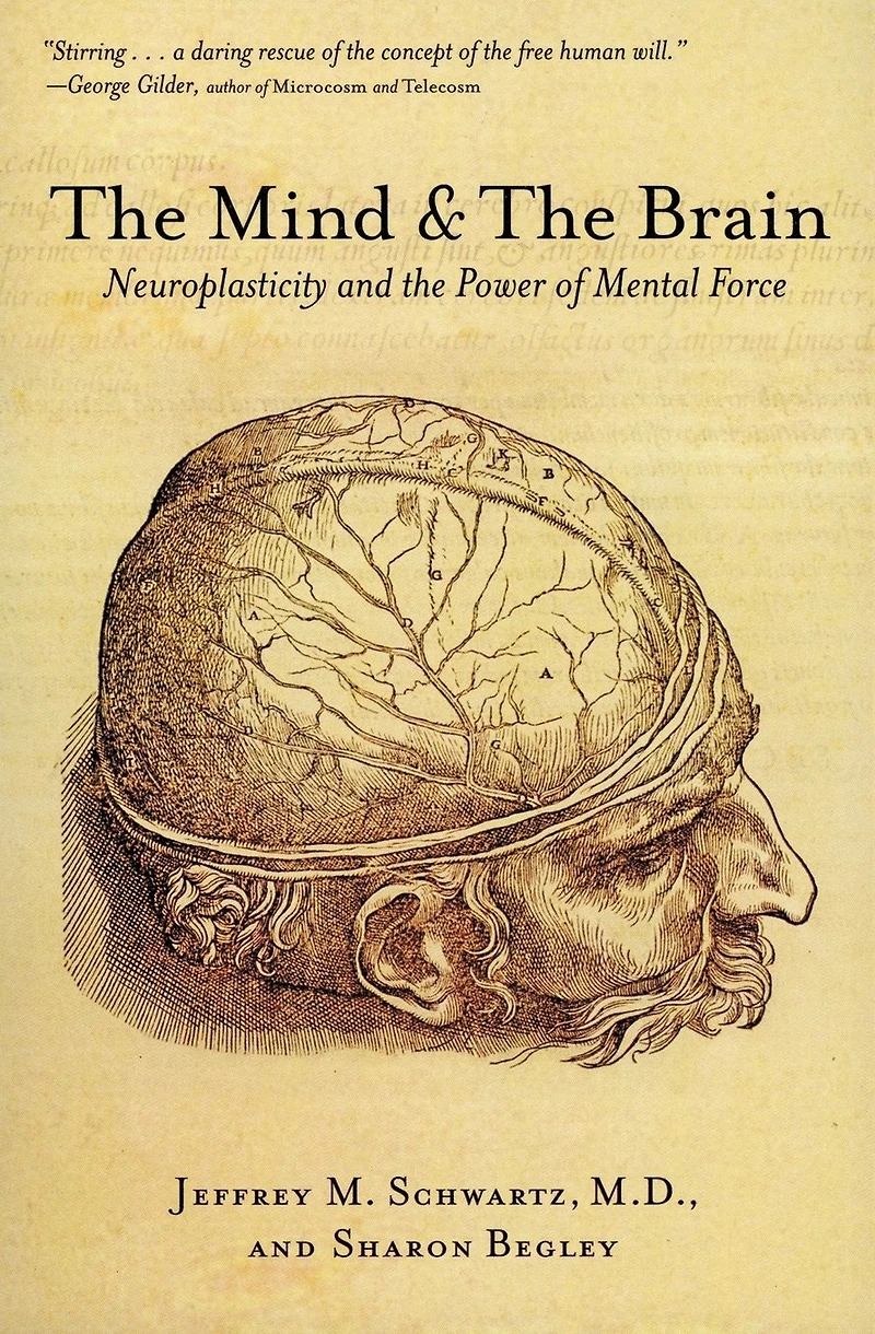the Mind and Brain: Neuroplasticity Power of Mental Force